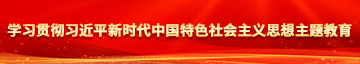 二次元性爱打飞机美眉小说学习贯彻习近平新时代中国特色社会主义思想主题教育